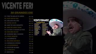 VICENTE FERNANDEZ MIX ROMANTICAS VIEJITAS PARA ADOLORIDOS LAS MEJORES RANCHERAS [upl. by Paradies]