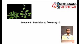 Module 9 Transition to Flowering  2 EPGPathshala [upl. by River]