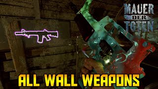 Mauer Der Toten  All Wall Weapon Locations Black Ops Cold War Zombies [upl. by Illek]