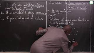 Cours Troisième  Français  Grammaire La forme emphatique ou la mise en relief Suite 1Mr Ndiaye [upl. by Rame]