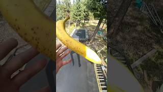 MOON BANANA fitness nature colorado trampolineparkourhealth diy climbing hiking [upl. by Prestige895]