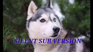 SILENT VERSION heterochromia eyes subliminal one husky blueone brown SILENT VERSION [upl. by Nnanaej]