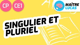 Le singulier et le pluriel CP  CE1  Cycle 2  Français  étude de la langue Lecture [upl. by Anirret]