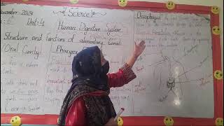 Class 6Sub Science Ch4 Human digestive system Topic Structure and functions of alimentary canal [upl. by Mihe]