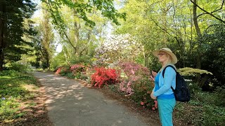 Rhododendrons amp bird song [upl. by Bakki931]