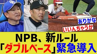 NPB、新ルール「ダブルベース」緊急導入www [upl. by Araccat]