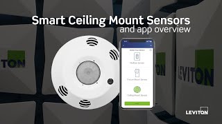 Smart Ceiling Mount Sensors and App Overview [upl. by Fulbert]