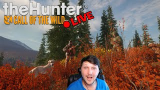 LIVE Hunt amp Hang  theHunter Call of the Wild [upl. by Teteak]