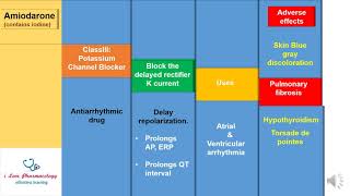 AMIODARONE mechanism uses and adverse effects [upl. by Mij]