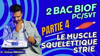 2 BAC BIOF Partie 4 LE MUSCLE SQUELETTIQUE STRIÉ [upl. by Westbrooke]