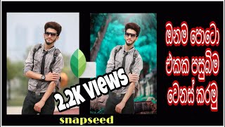 snapseed background change photo editing in sinhala [upl. by Anaizit]