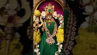 Sri Vana pechi Amman Sri Veera Bhadrakali Amman [upl. by Way]