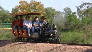 WRC Video 161  Impressive 15 in Gauge Railways [upl. by Lashar626]