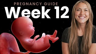 12 Weeks Pregnant  Week By Week Pregnancy [upl. by Iv826]