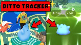 How to Catch Ditto in Pokemon Go  Ditto All Disguise in Pokemon GO  Pokemon Go Ditto Catching [upl. by Iives]