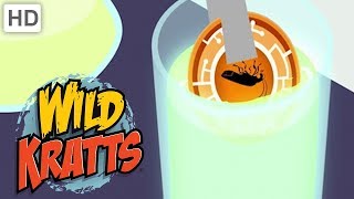 Wild Kratts 🌟 These Creatures Glow  Kids Videos [upl. by Nataline839]