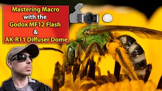 Transform Your Macro Shots Mastering the Godox MF12 Flash with the AKR11 Diffuser Dome [upl. by Laurence]