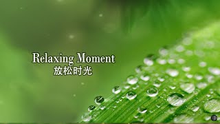 Relaxing Moment放松时光 你好吗？雨后的水珠闪烁着微光，仿佛为远方的你送上祝福How are you The dew after the rain shimmers [upl. by Haizek470]