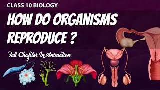 How Do Organisms Reproduce Full Chapter🔥 in Animation Class 10th Science CH6 NCERT covered [upl. by Mccall355]