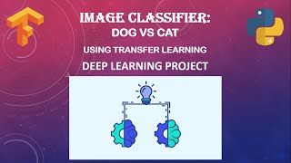 Image Classifier  Dog Vs Cat  Transfer Learning [upl. by Adyela]