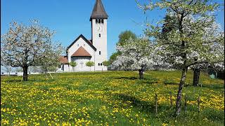 Livestream von Katholische Pfarrei Wetzikon [upl. by Ellehcer]