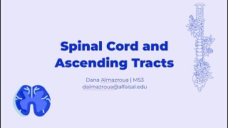 Spinal Cord amp Ascending Tracts  Dana Almazroua  NEU 241 PAL review session [upl. by Eibbil458]