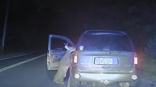 Watch Deer Try To Hop Into Car With Driver After Being Hit on Road [upl. by Leddy]