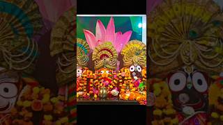 ଜୟ ଜଗନ୍ନାଥ ⚫❗⚫🙏youtubeshorts jagannath jagannath video jagannath clip puriodishakaliathakura [upl. by Enibas194]