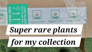 I got some rare plants [upl. by Alake]