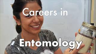 Careers in Entomology JobSparkJunior Achievement [upl. by Clea882]