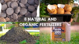 8 Natural and Organic Fertilizers to Grow Big Plants [upl. by Papotto88]