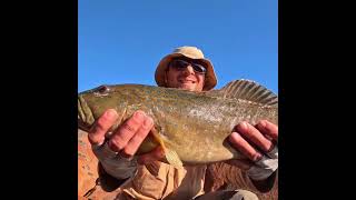 BIG BARRAMUNDI Fishing Dreams Coming True fishing barramundi Kimberley fishingadventure [upl. by Llekcor836]