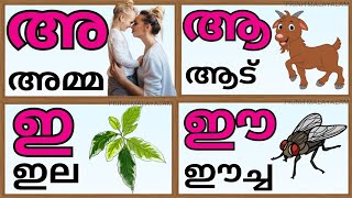 Malayalam aksharamala swaraksharangal Amma Aadu ela eecha Malayalam alphabet letters [upl. by Kloster]