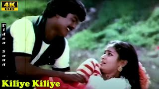 Kiliye Kiliye Song  Ilaiyaraaja  Vairamuthu  Murali  Geethanjali  Tamil Evergreen Love Melody [upl. by Irina595]