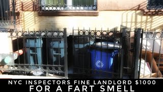 NYC Inspectors Fine Landlords 1000 For A Fart Smell [upl. by Cressler]