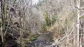 ruisseaux a truites de l Aveyronmp4mp4 playlist pilou34beziers [upl. by Sucramd]