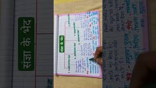 Sangya ke kitne bhed hote hain in Hindi Grammar class 1 to 10 [upl. by Ama]