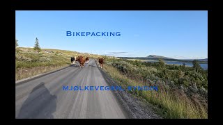 Bikepacking Mjølkevegen 3 [upl. by Patrich]