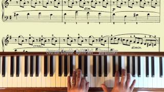 Piano Instruction Demo  Courant Limpide Burgmuller Op100 No7 [upl. by Schroth]