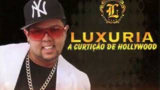 neto lx banda luxuria as mais tocadas Dalmo 1 danado [upl. by Asiar]