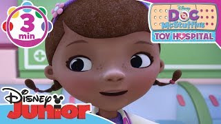 Doc McStuffins  Think Like Your Pets Song  Disney Junior UK [upl. by Clotilda28]