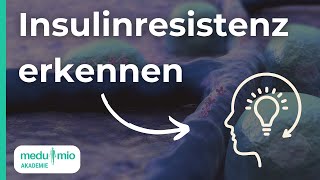 Insulinresistenz erklärt Ursachen Symptome amp mehr 📊 Dr Simone Koch [upl. by Estell852]