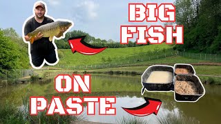 BIG FISH  ON PASTE  A DEADLY SUMMER TACTIC  FISHING TUTORIAL [upl. by Kostman]