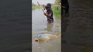 🤯Unbelievable Bamboo Arrow Bow Fishing CHALLENGE 💯 Funny Fishing Fish fishingvideo Shorts reels [upl. by Otrepur]