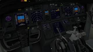 Zibo 737800 Acionamento preflight e decolagem XPlane 11 [upl. by Lekim373]