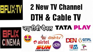 BFLIX CINEMA amp BFLIX TV Will be Launched On AIRTEL DIGITAL TV TATA PLAY DISH TV DTH amp Cable TV SOON [upl. by Rachel]