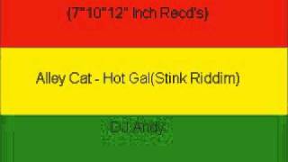 Alley Cat  Hot GalStink Riddim [upl. by Sirrap]