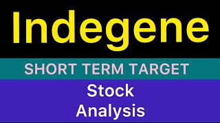 indegene ltd stock target 🔰 indegene ltd stock news  indegene ltd stock analysis update 191124 [upl. by Rexferd]