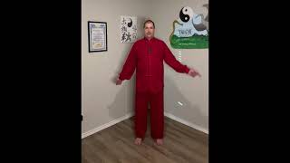 The many ways to perform the 4th movement of 8 brocades Qigong Wise Owl Looks Behind [upl. by Jaella]