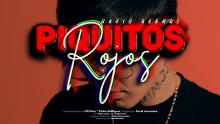 Piquitos Rojos  David Bernal Video Oficial [upl. by Prakash580]